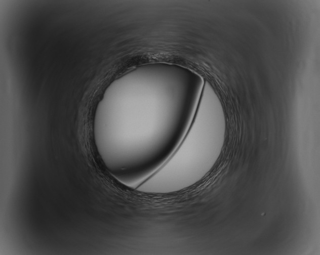 X0000099571345200805160718