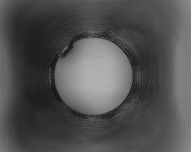 X0000099571346200805160717