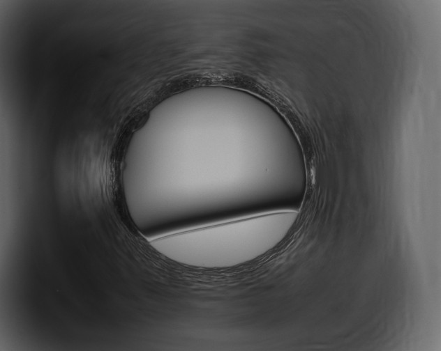 X0000099571347200805160717