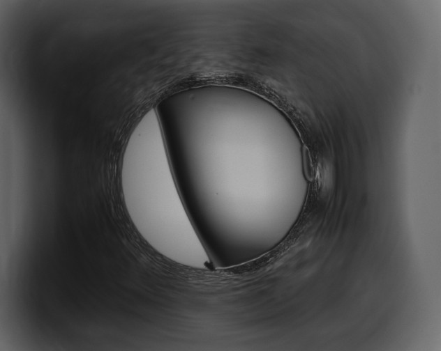 X0000099571348200805160717