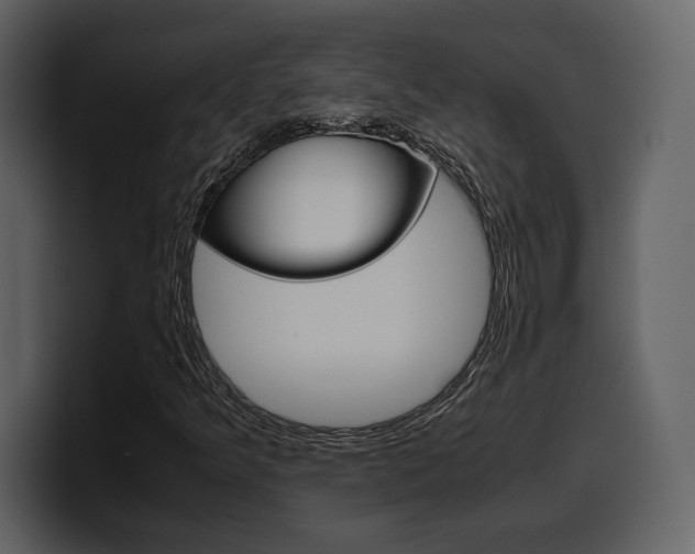 X0000099571349200805160717