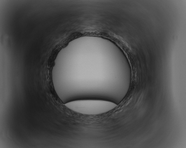 X0000099571350200805160717