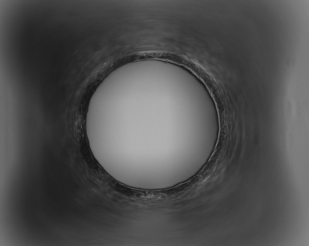X0000099571351200805160717
