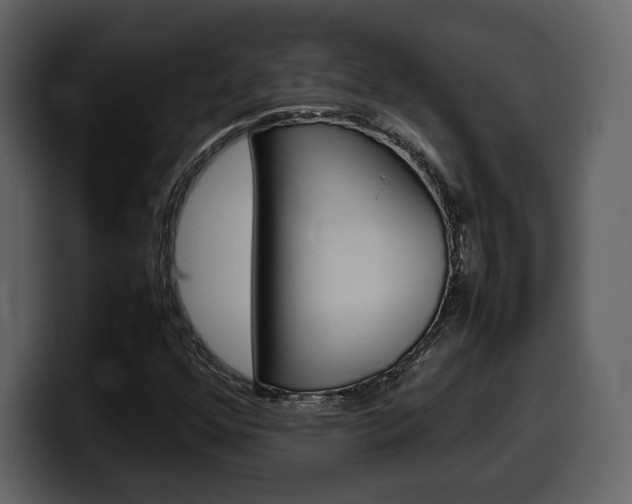 X0000099571352200805160717