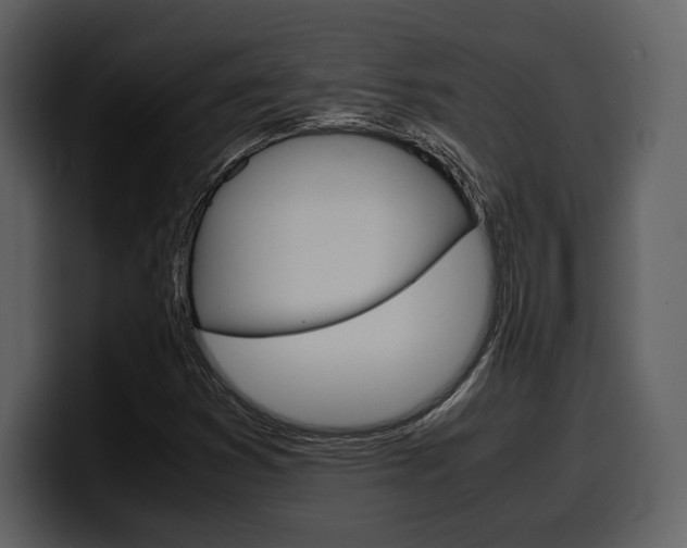 X0000099571353200805160717