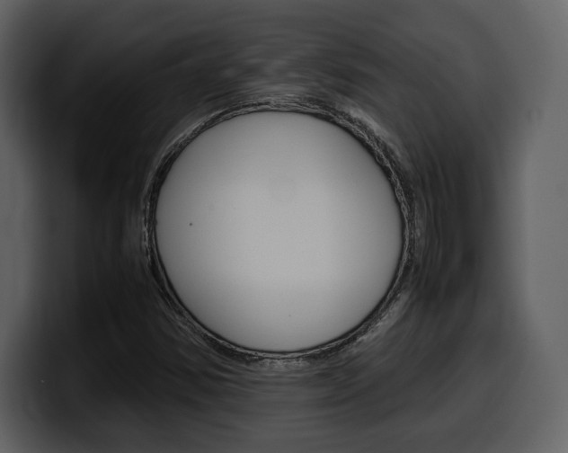 X0000099571354200805160717