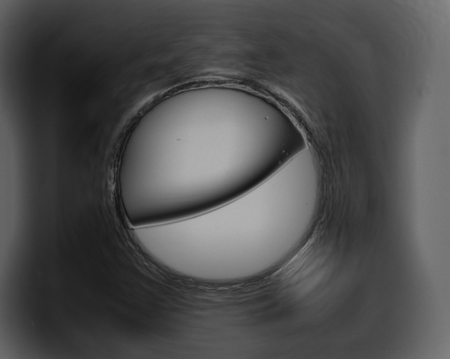 X0000099571355200805160717