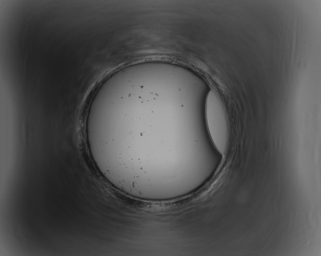 X0000099571357200805160717