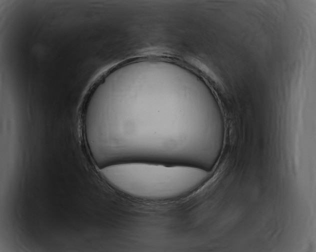X0000099571358200805160717