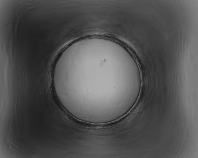 X0000099571359200805160717