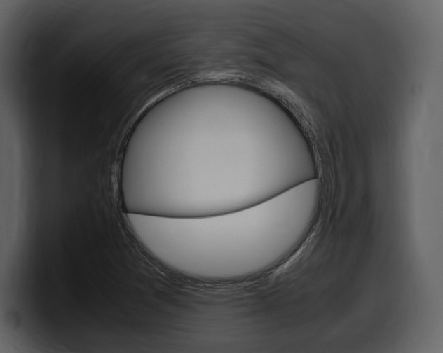 X0000099571361200805160717