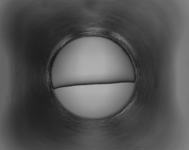 X0000099571362200805160717
