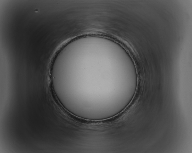 X0000099571363200805160717