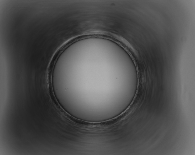 X0000099571364200805160717