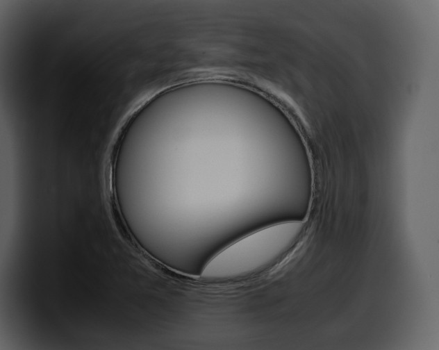 X0000099571365200805160717
