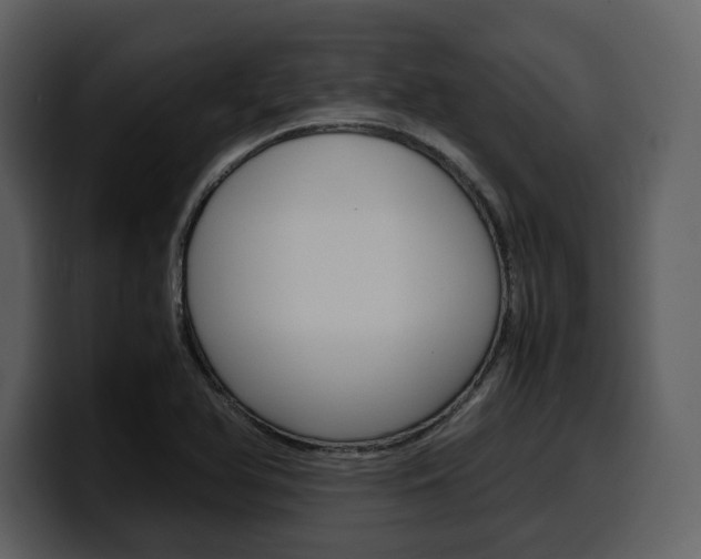 X0000099571366200805160717