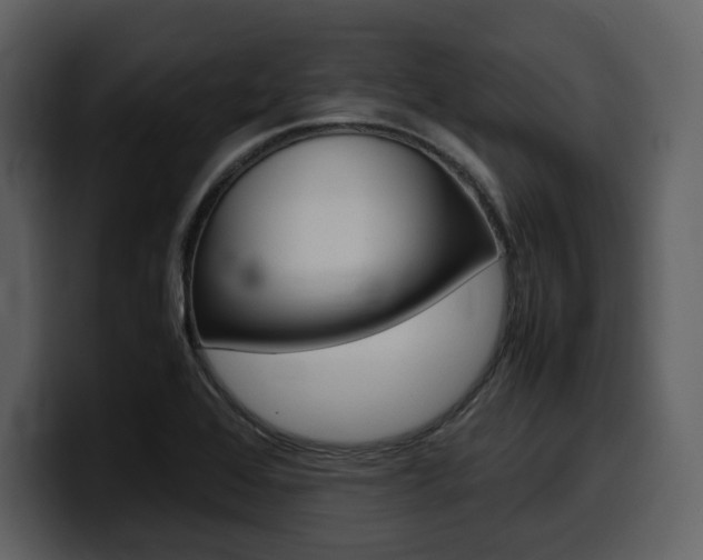 X0000099571368200805160717