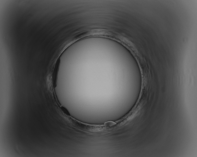 X0000099571369200805160717