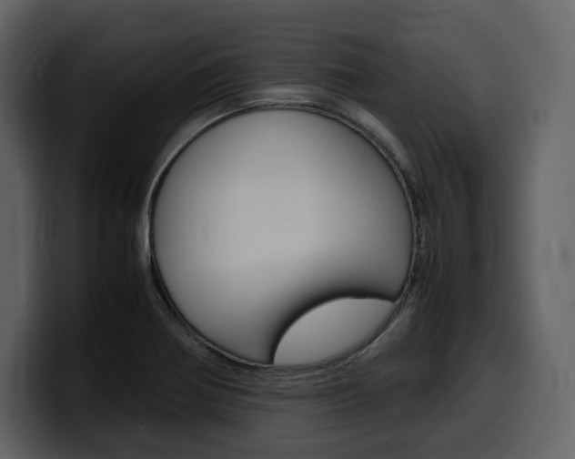X0000099571370200805160717