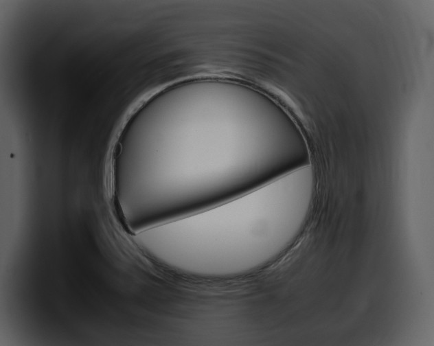 X0000099571371200805160717