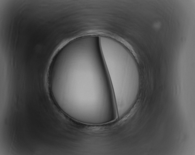 X0000099571373200805160717