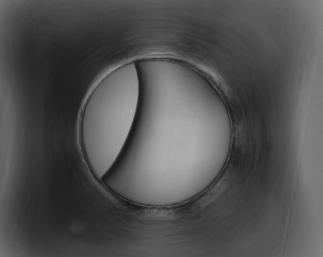 X0000099571374200805160717