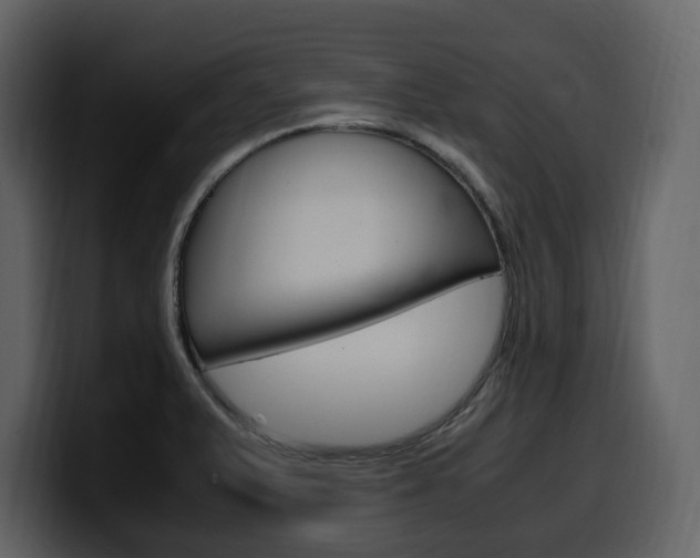 X0000099571375200805160717