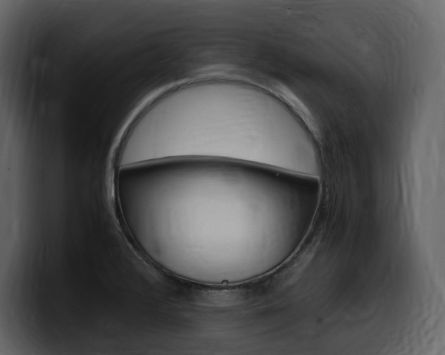 X0000099571376200805160717