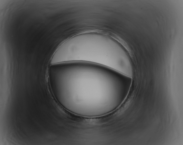 X0000099571377200805160717