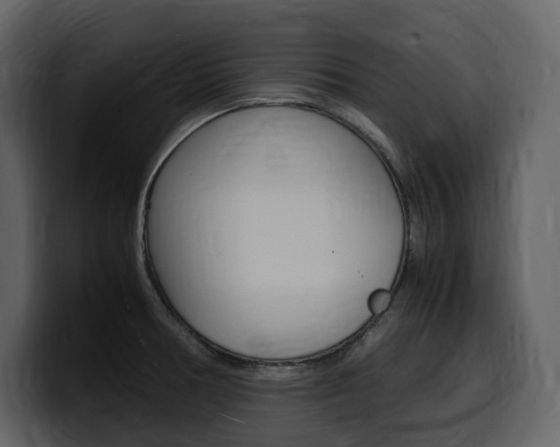 X0000099571378200805160717