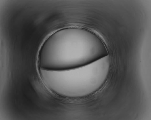 X0000099571379200805160717