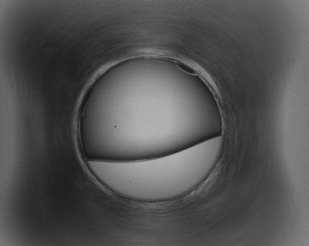 X0000099571381200805160717