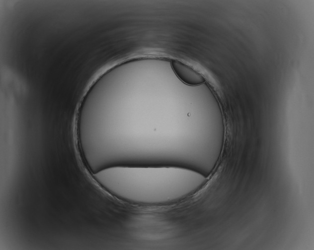 X0000099571382200805160717
