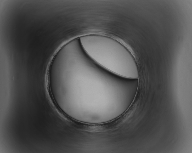 X0000099571383200805160717