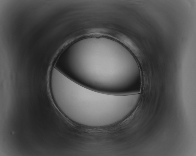 X0000099571384200805160717