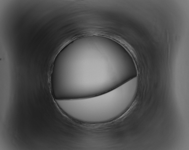 X0000099571385200805160717