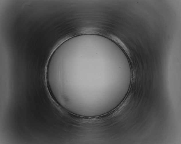 X0000099571386200805160717
