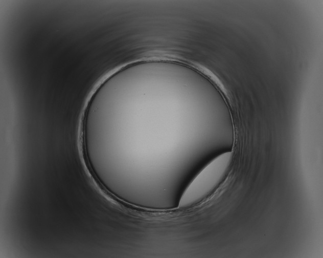 X0000099571387200805160717