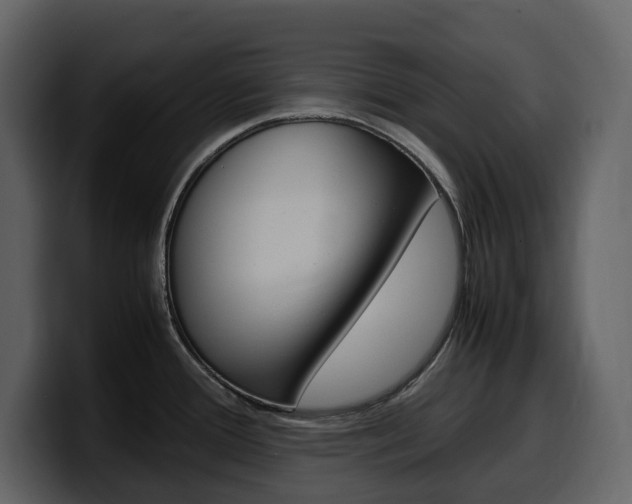 X0000099571388200805160717