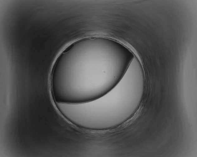 X0000099571389200805160717