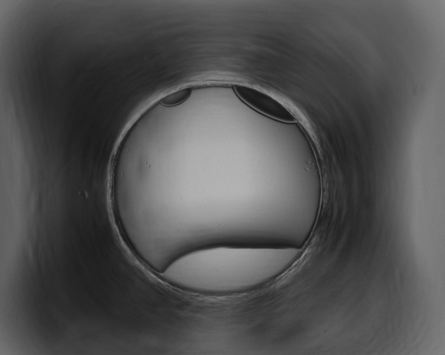 X0000099571390200805160717