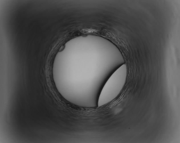 X0000099571393200805160716