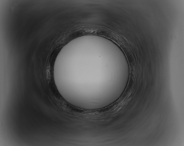 X0000099571394200805160716