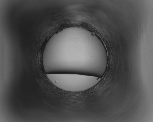 X0000099571397200805160716