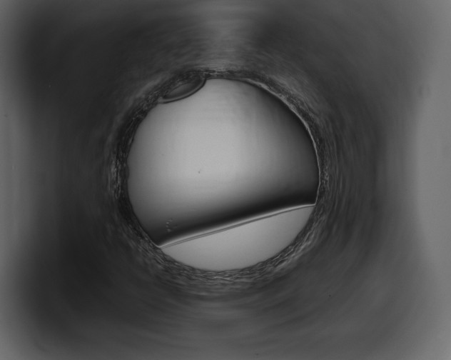 X0000099571398200805160716
