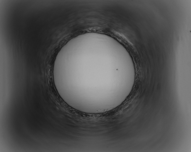 X0000099571399200805160716