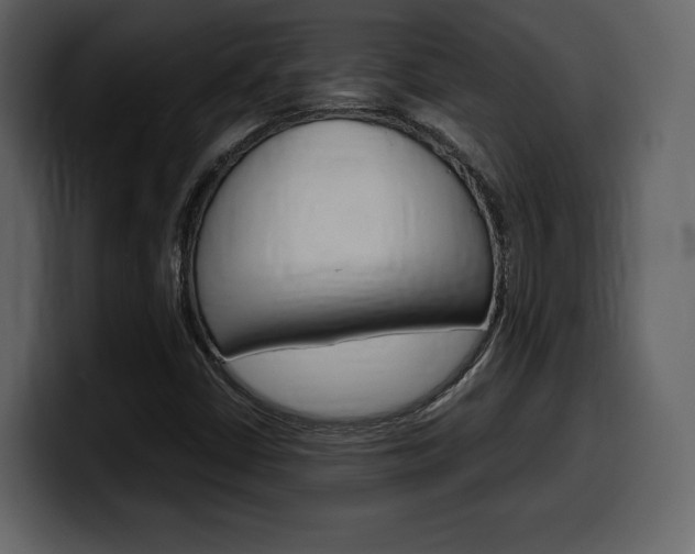 X0000099571402200805160716