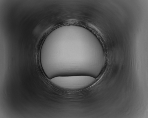 X0000099571403200805160716