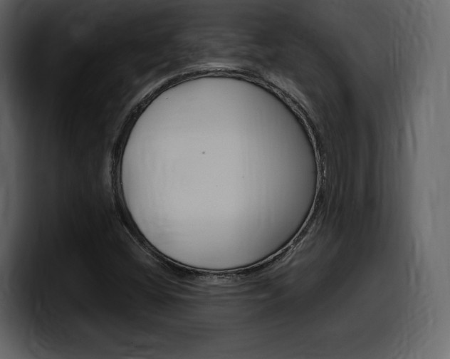 X0000099571404200805160716