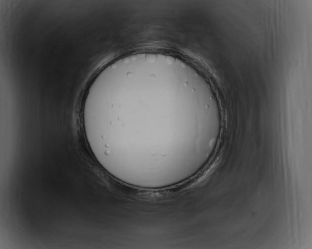 X0000099571405200805160716